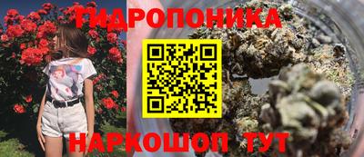 спиды Пугачёв