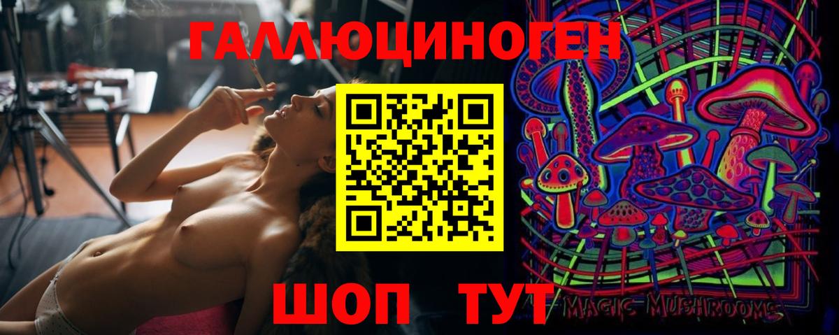 Пугачёв  Псилоцибиновые грибы MAGIC MUSHROOMS  Вход с VPN 